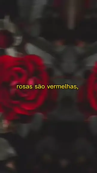 gifs com rosas vermelhas | Discover