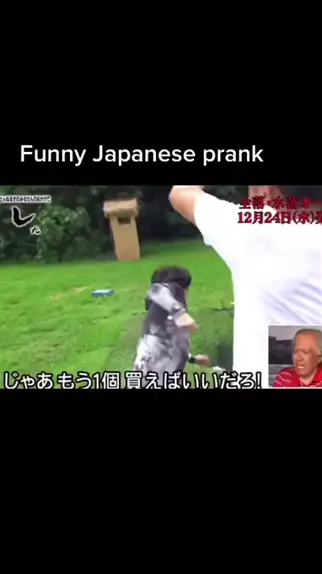 japanese girl toilet spy
