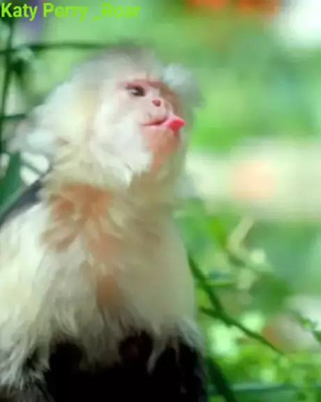 eden the doll leaked naked