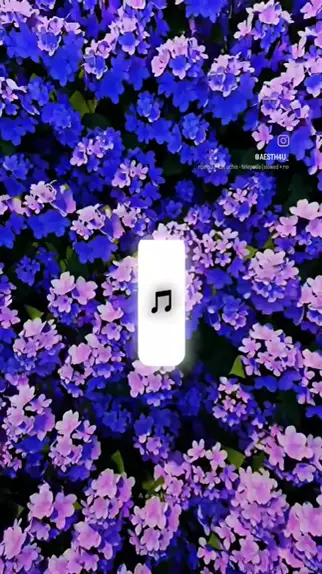 kaeleerene of leaked & kaelee rene leaked images sKwai