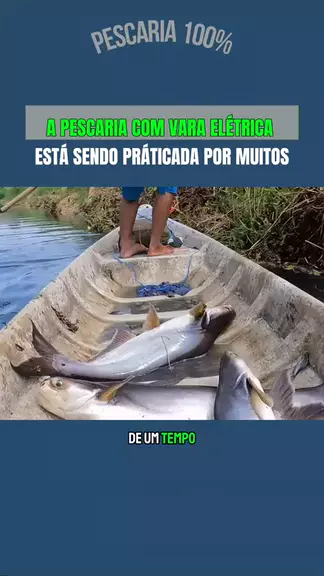 pescarias pacata:pesca com vara elétrica