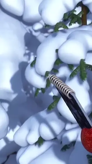 Purenudism christmas day