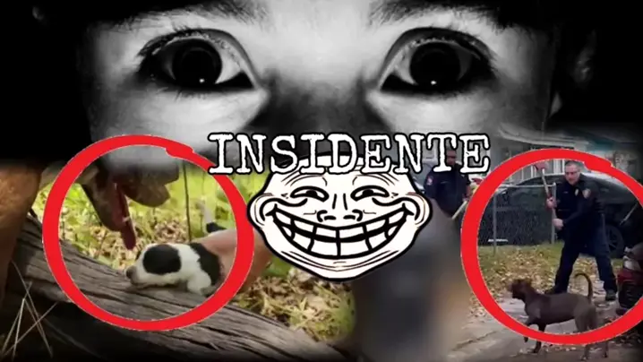 VOIDS OSCUROS , 1 bitch 9 pups, 1 perra 9 cachorro ...| Kwai