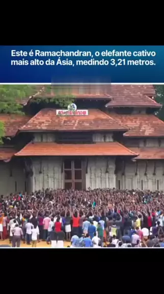 lyana ratu spa tunjuk tetek