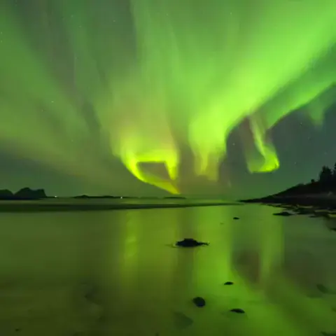 bronwin aurora videos