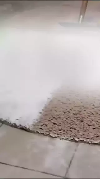 sondra blust reddit & sondra blust leak redditDiKwai