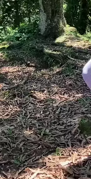 marta sales nua | get to know marta sales sale @ia| Kwai