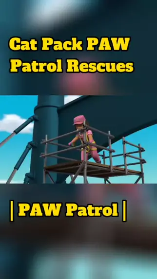 tuktuk patrol packchee