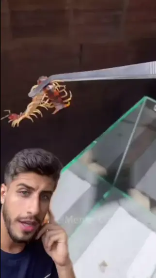 scubasteph erome & scuba.steph eromeDiscover