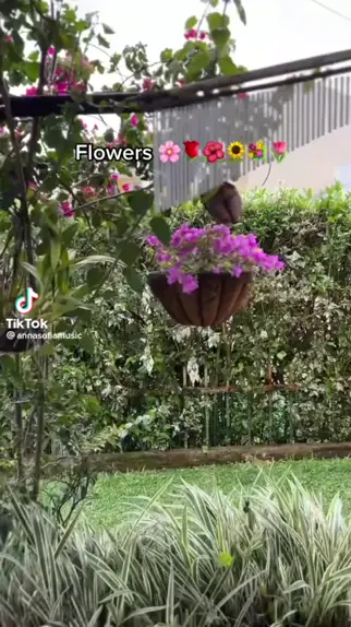 sofia lianna leak & sofia lianna challenges| Disco| Kwai