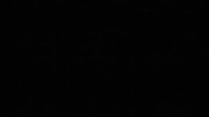 river.lynn & river lynn| Discover