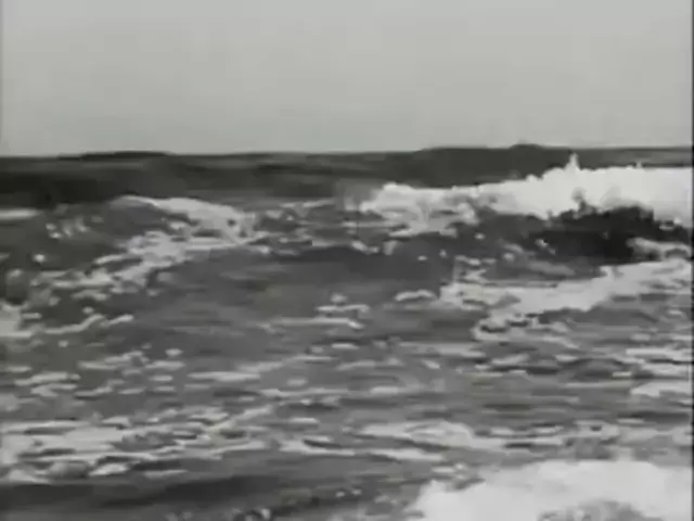 belarus studio pythia | Discover 